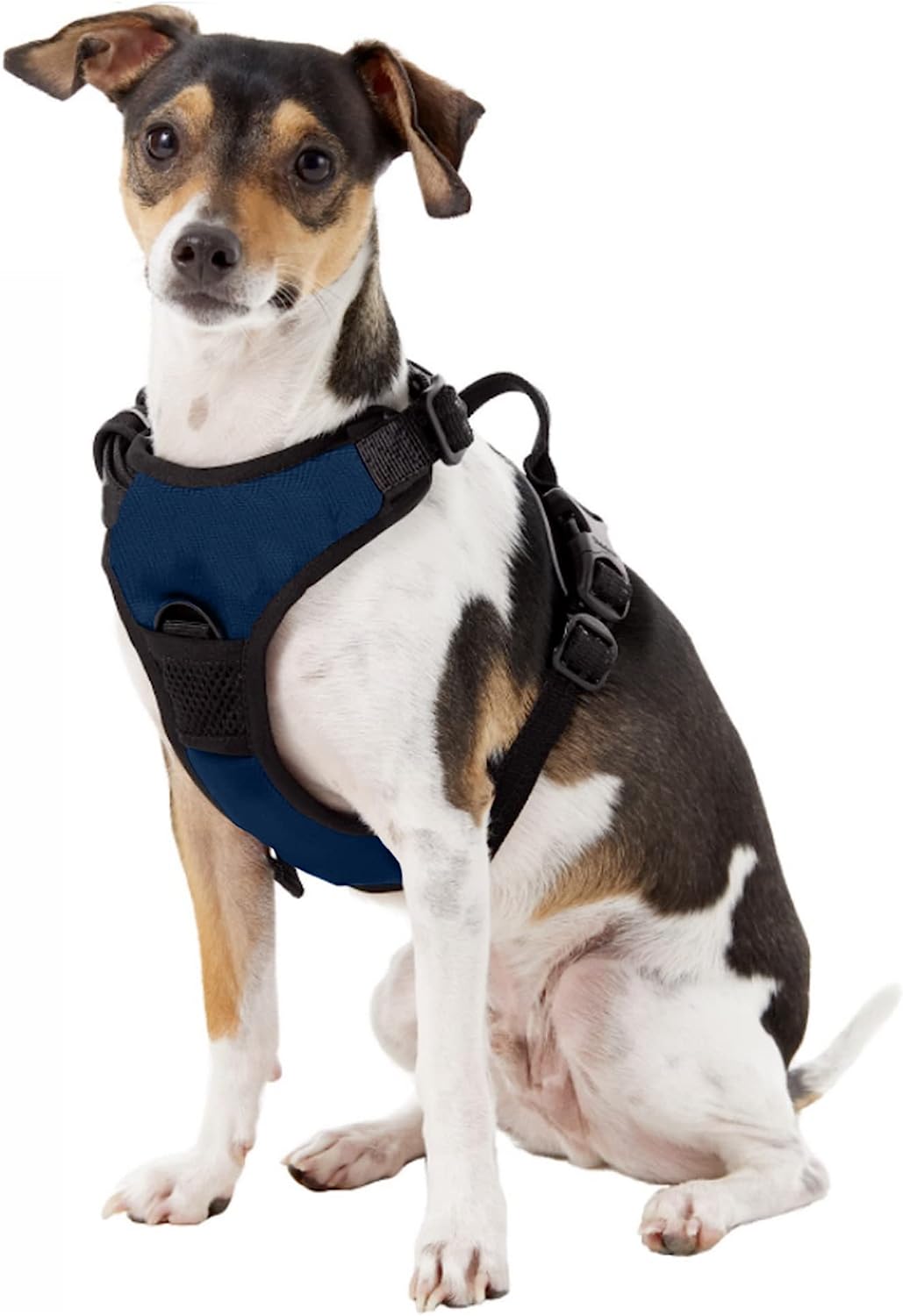UNC Pet Dog Harness